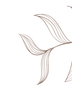 as1