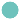 A11