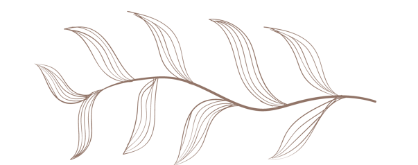 as1
